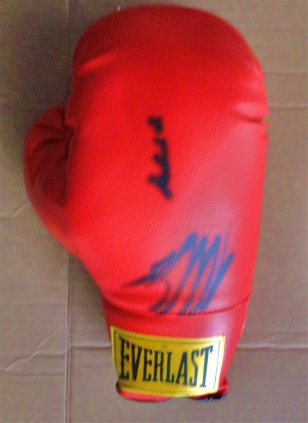 Boxing Glove Signed by Tyson & Ali